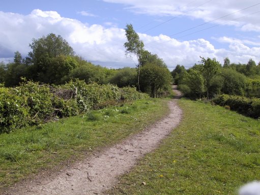 View from Landgate Lane. &copy;DMcK.